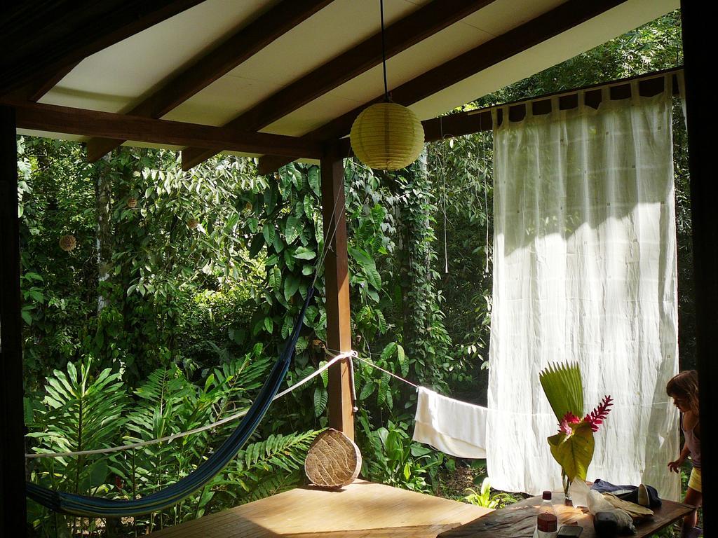 Puerto Viejo de Talamanca Casa Lina Sloth View Exotic Apartment With Privat Kitchen חדר תמונה