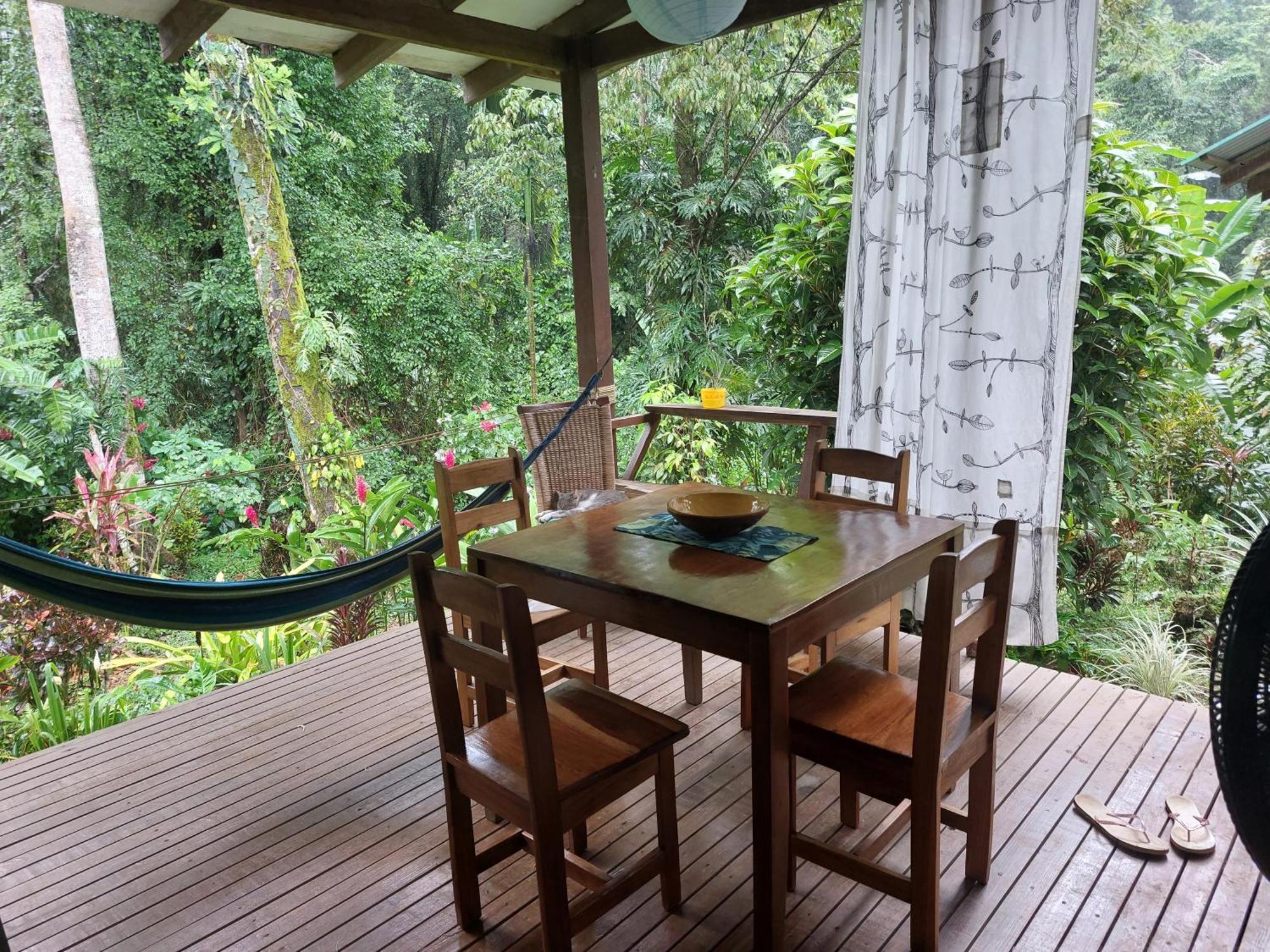 Puerto Viejo de Talamanca Casa Lina Sloth View Exotic Apartment With Privat Kitchen מראה חיצוני תמונה