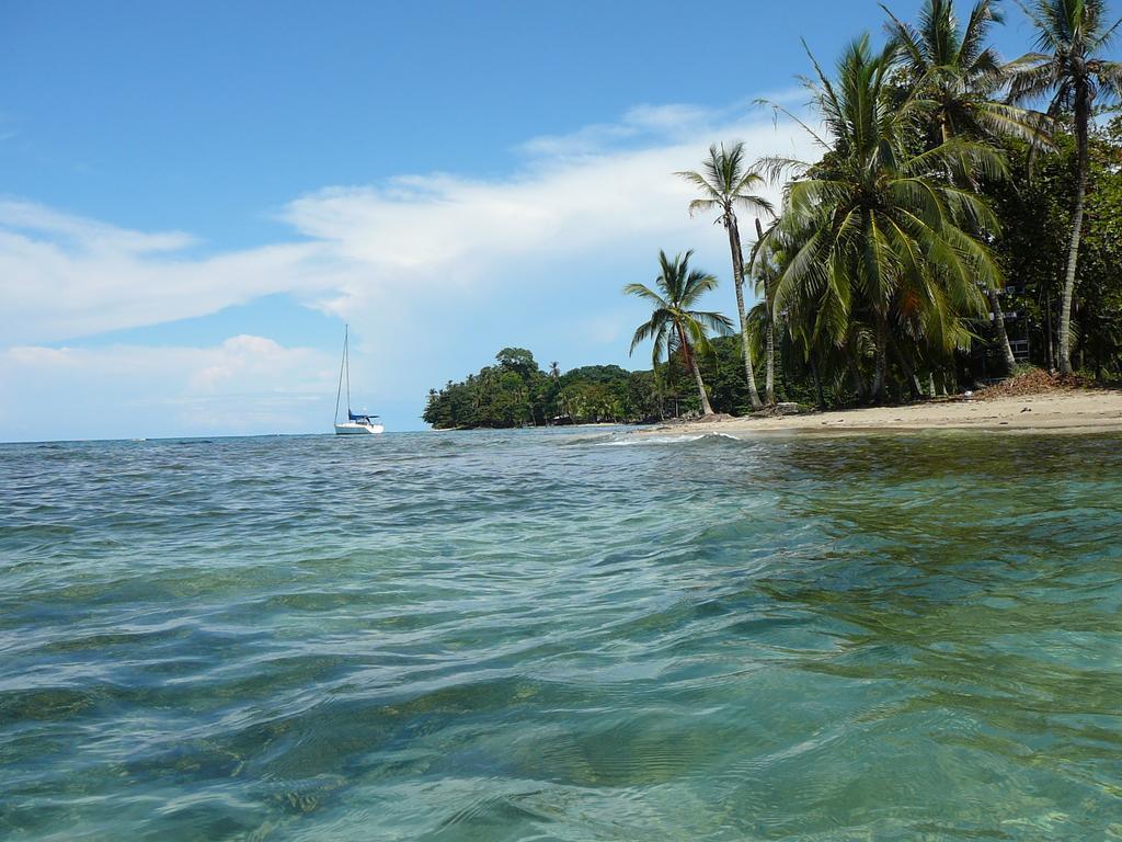 Puerto Viejo de Talamanca Casa Lina Sloth View Exotic Apartment With Privat Kitchen חדר תמונה