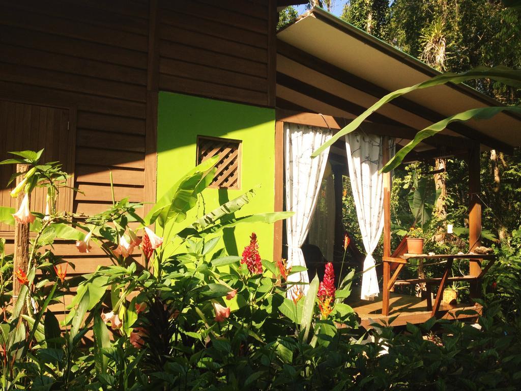 Puerto Viejo de Talamanca Casa Lina Sloth View Exotic Apartment With Privat Kitchen מראה חיצוני תמונה