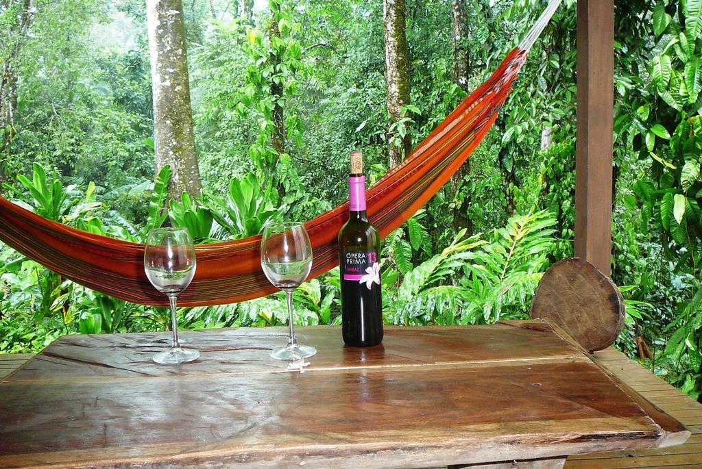 Puerto Viejo de Talamanca Casa Lina Sloth View Exotic Apartment With Privat Kitchen חדר תמונה
