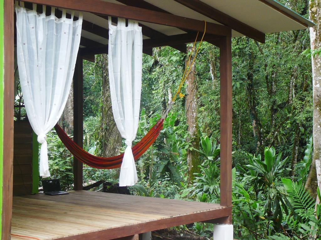 Puerto Viejo de Talamanca Casa Lina Sloth View Exotic Apartment With Privat Kitchen חדר תמונה