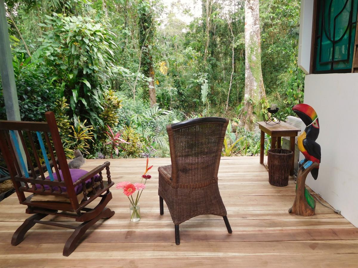 Puerto Viejo de Talamanca Casa Lina Sloth View Exotic Apartment With Privat Kitchen מראה חיצוני תמונה
